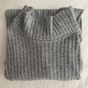 Aritzia Turtleneck
